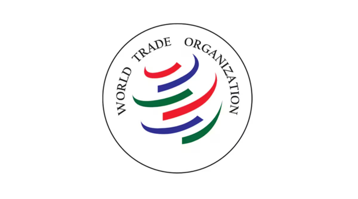 WTO Internship